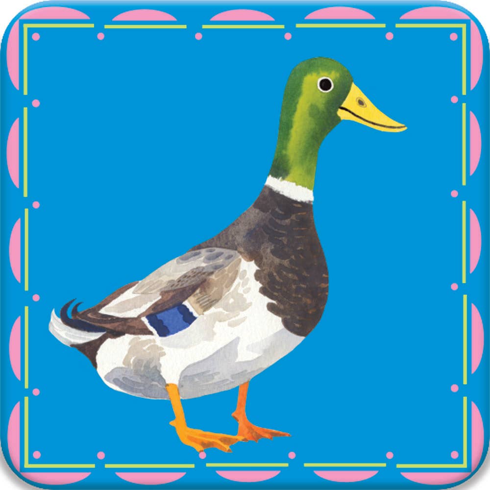 Birds Little Memory & Matching Game