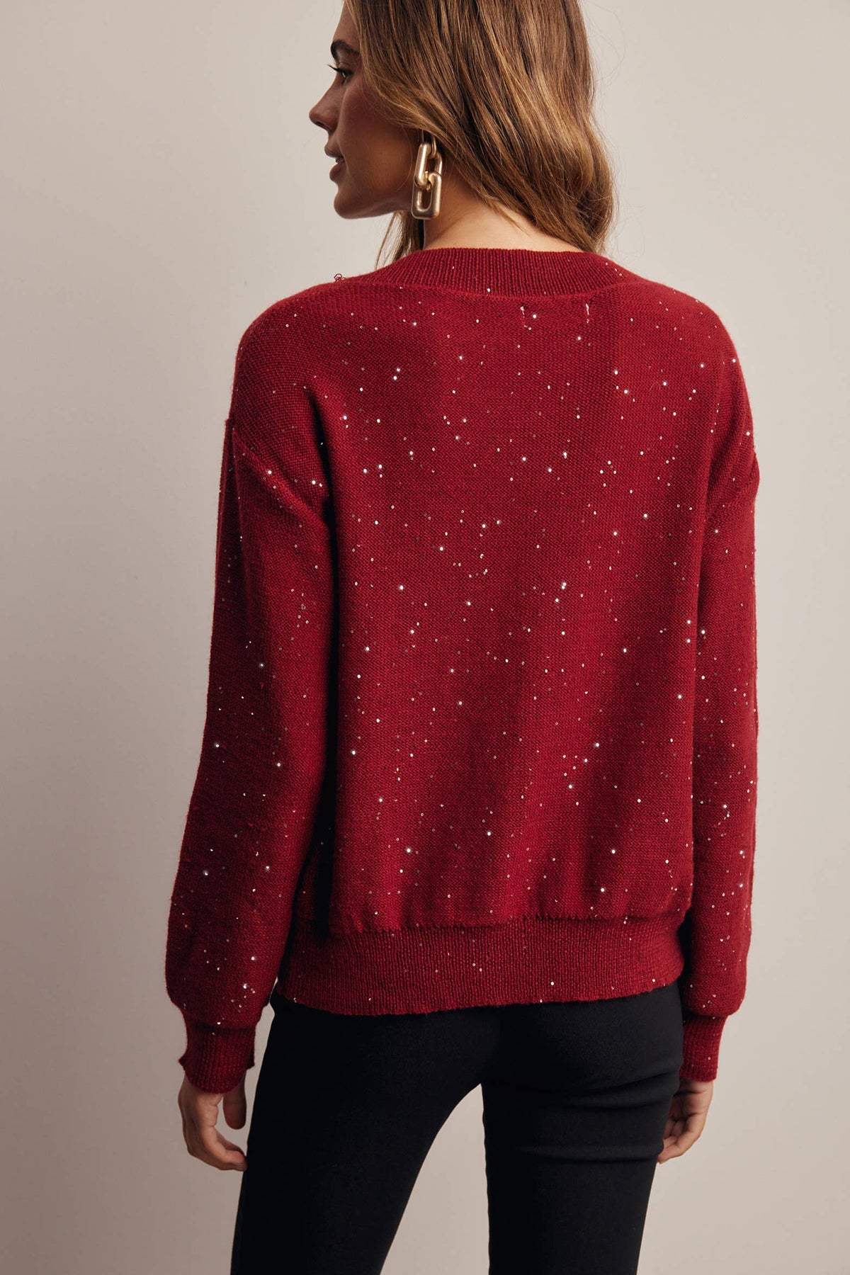 Sequin Embellished V-Neck Knit Sweater