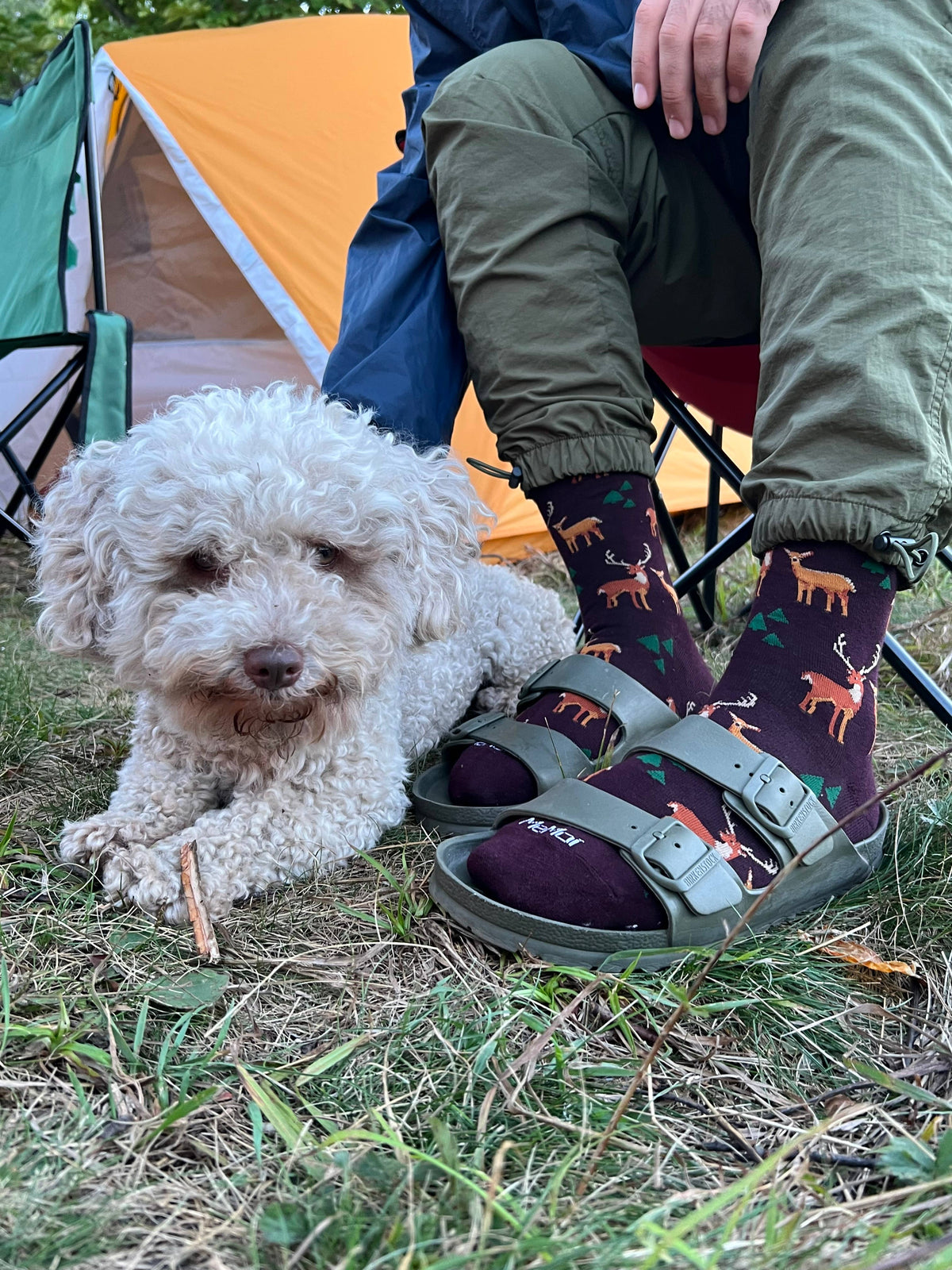 Oh Deer Bamboo Blend Men's Crew Socks