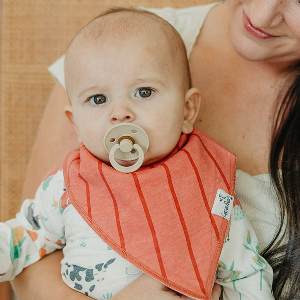 Baby Bandana Bibs - Farmstead