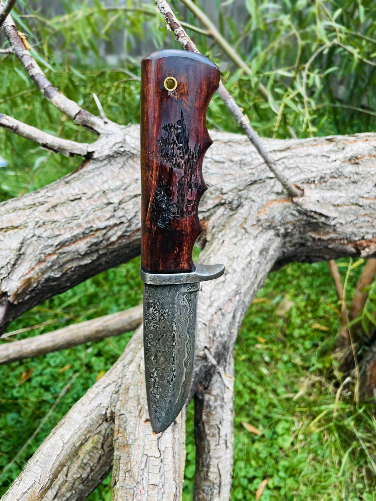 A.3 Damascus Steel Hunting Knife Buck Engraved Walnut Scales