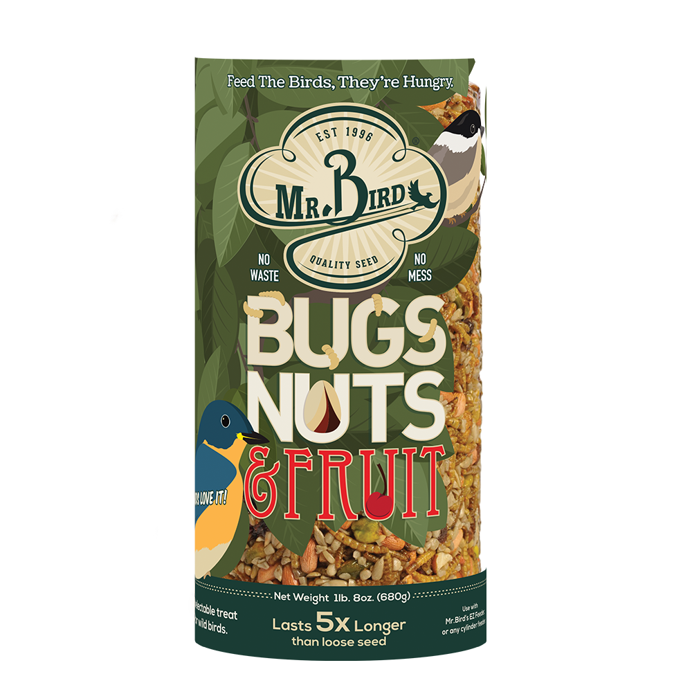 Bugs, Nuts, & Fruit Cylinder - Small