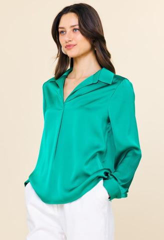Satin Long Sleeve Blouse