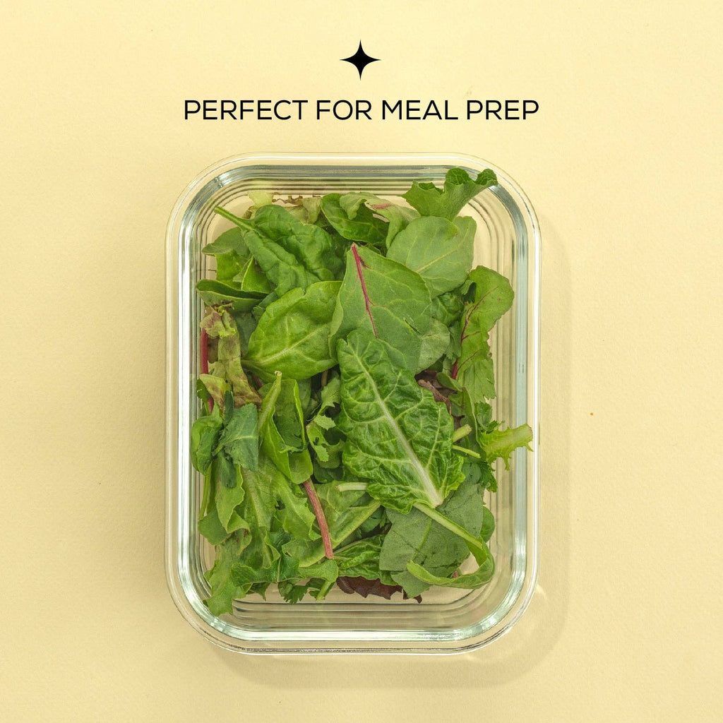 Glass Food Storage Containers with Airtight Lids - Set of 5