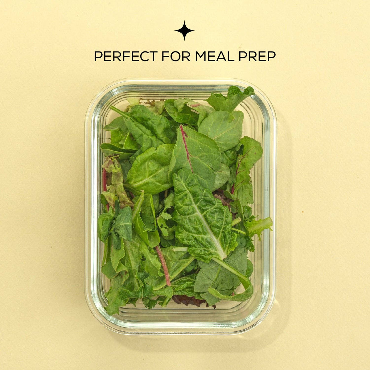 Glass Food Storage Containers with Airtight Lids - Set of 5
