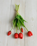 Bunch - Real Feel Tulip, Red (PC)