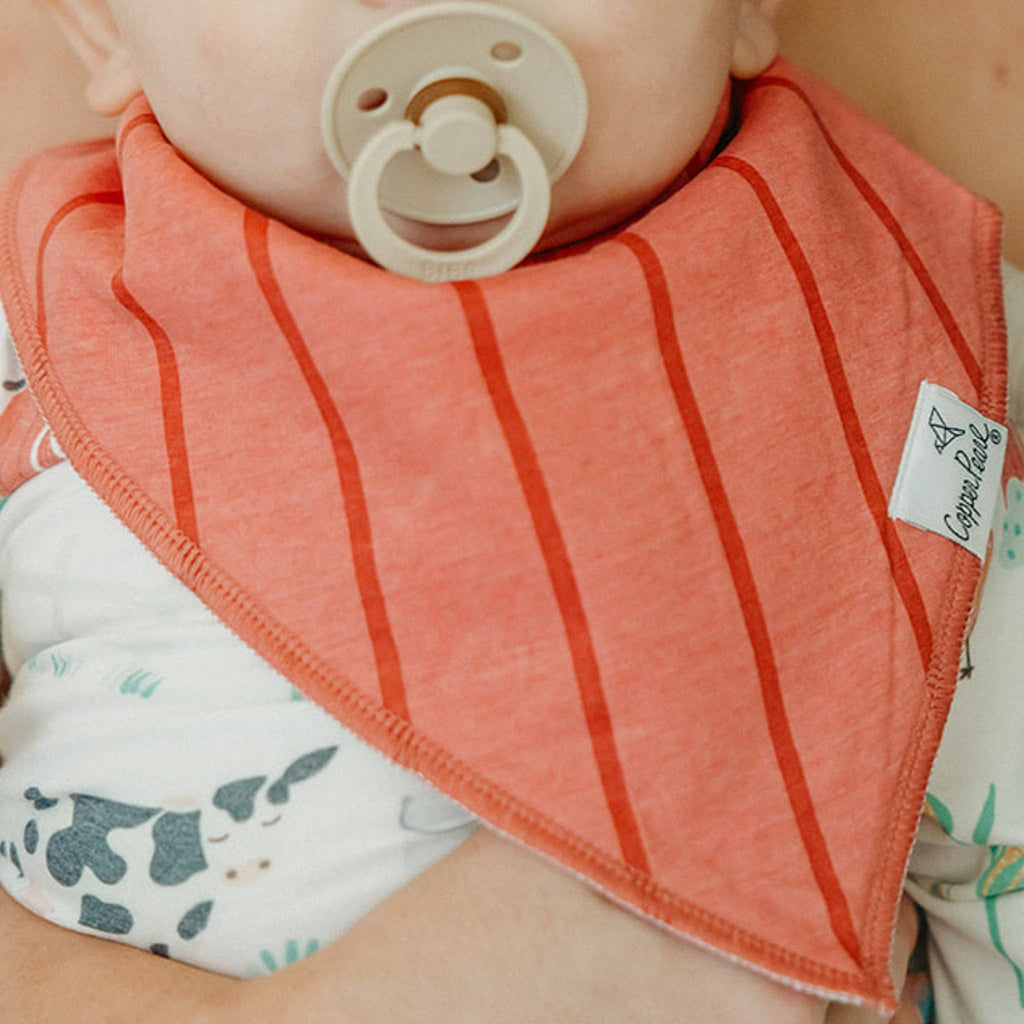 Baby Bandana Bibs - Farmstead