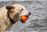 Fetch and Glow Ball